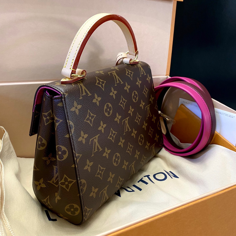 Túi Louis Vuitton