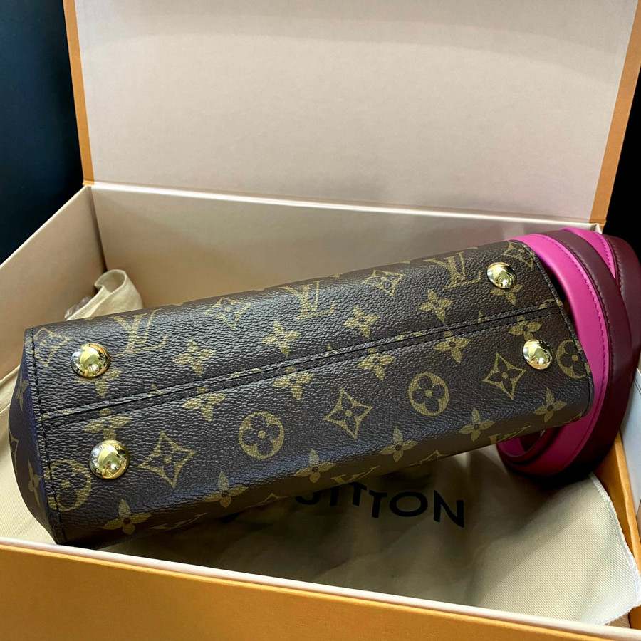 Túi Louis Vuitton