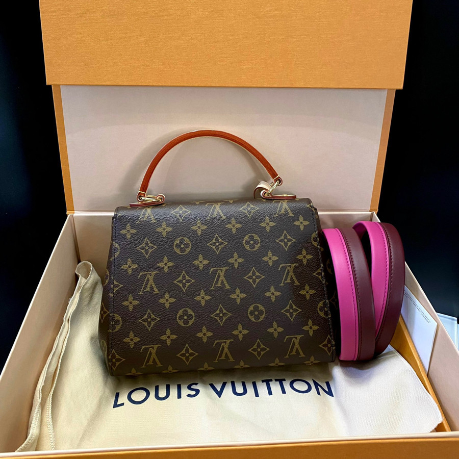Túi Louis Vuitton