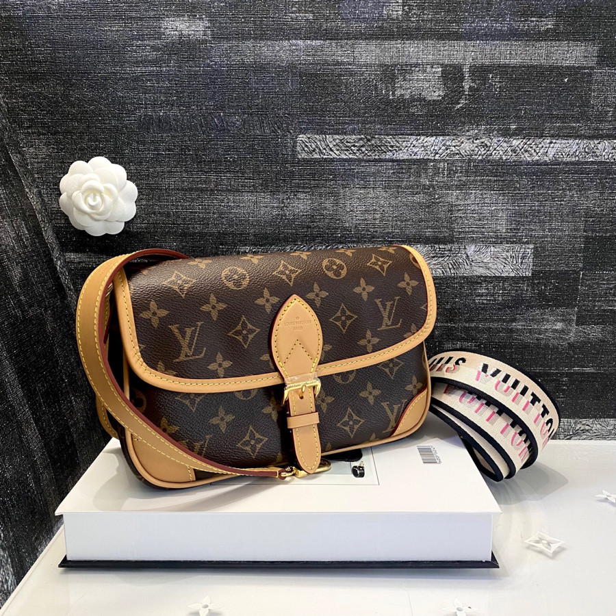 Túi Louis Vuitton