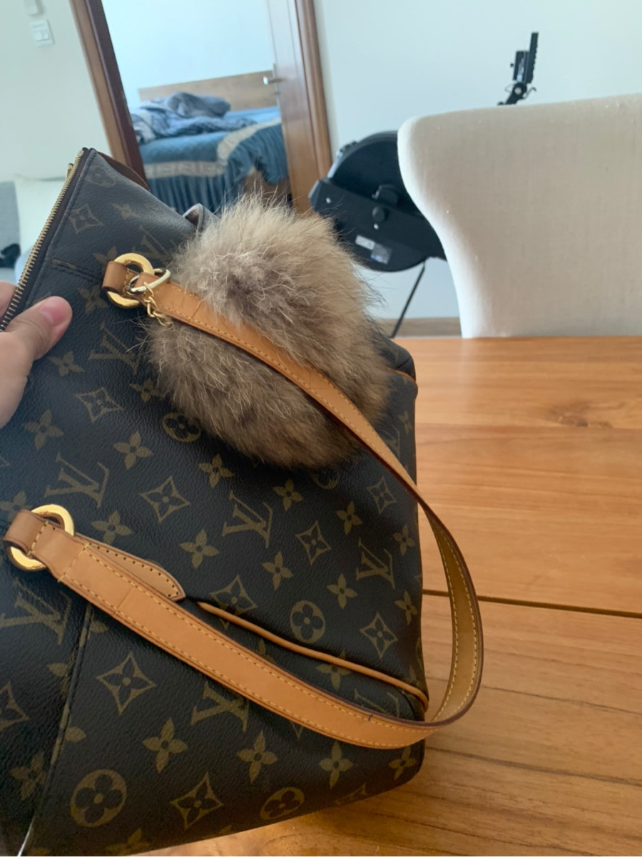 Tote LV