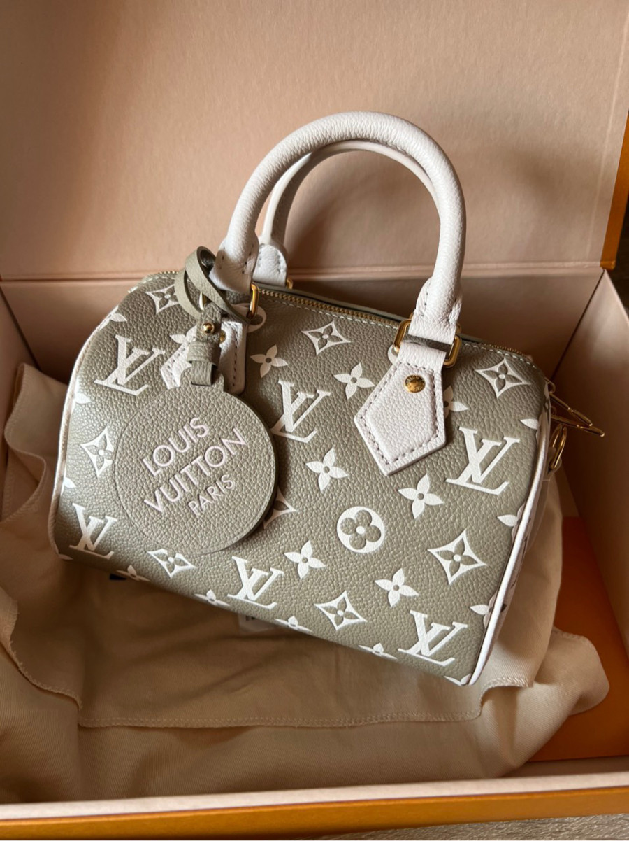 Túi Louis Vuitton