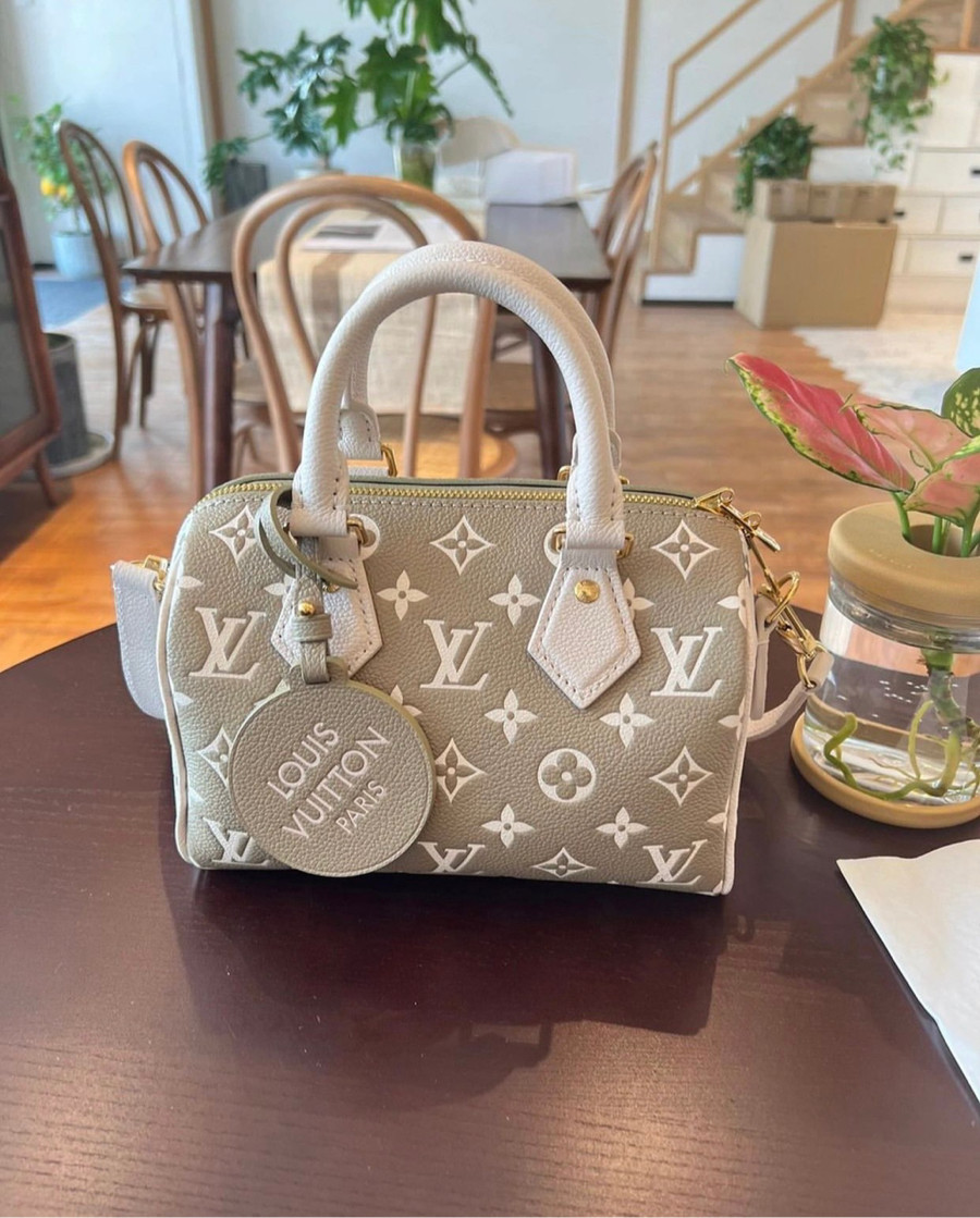 Túi Louis Vuitton