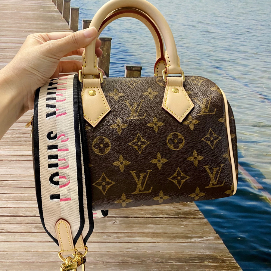 Túi Louis Vuitton