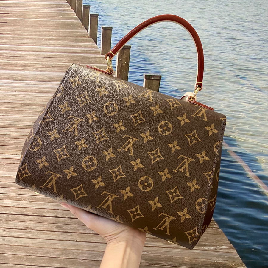 Túi Louis Vuitton