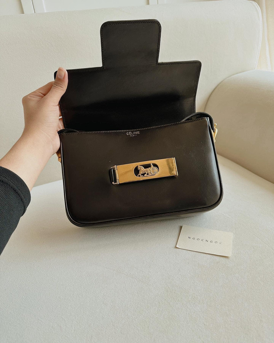 Celine bag dark chocolate