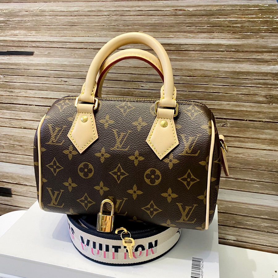 Túi LV Speedy 20