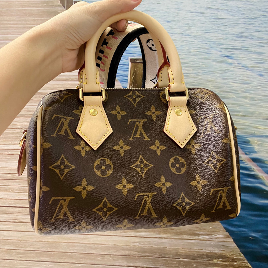 Túi LV Speedy 20