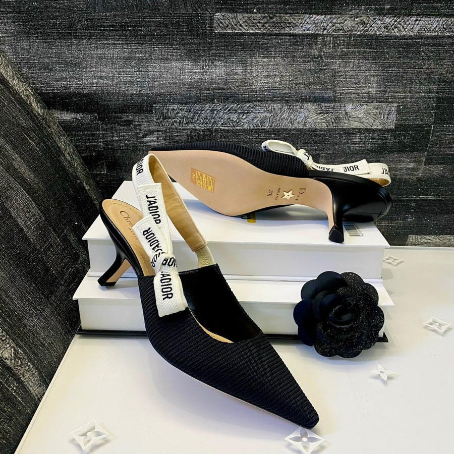 Giày Dior
