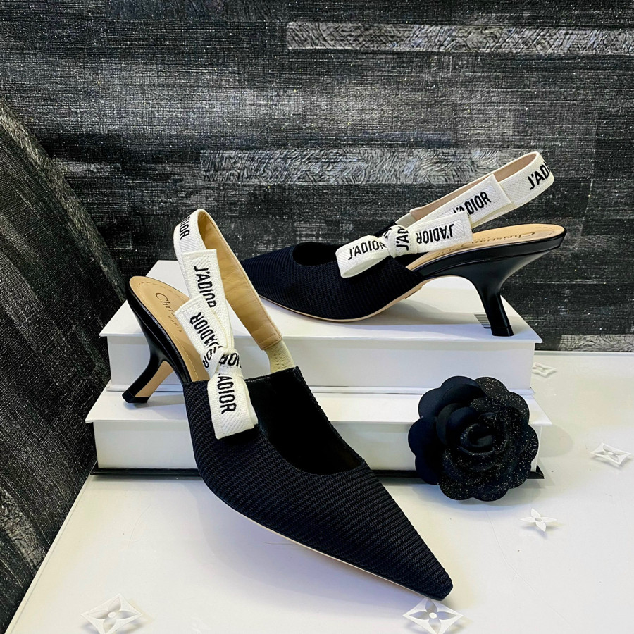 Giày Dior