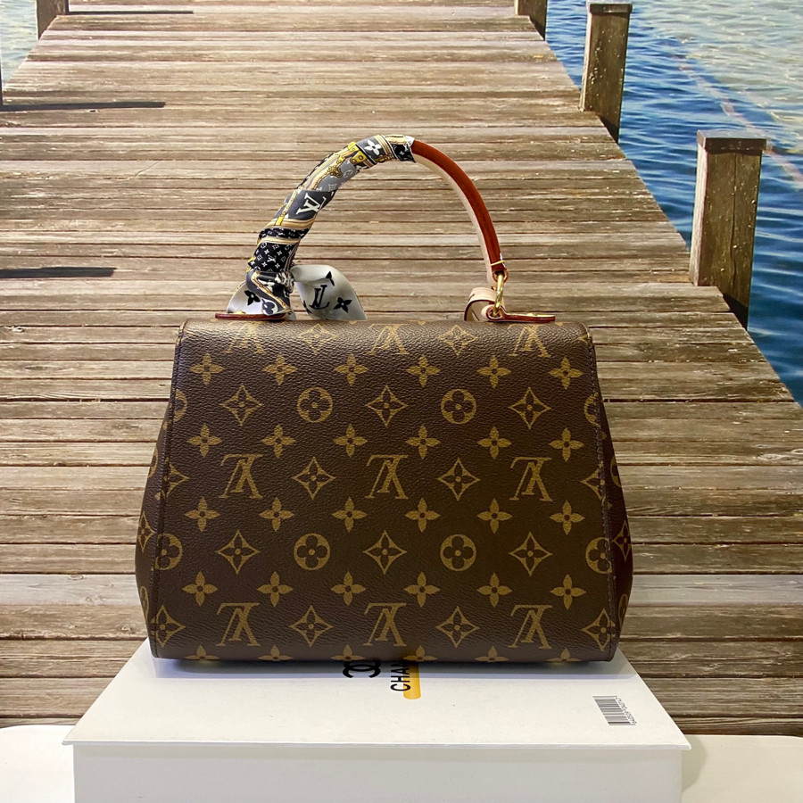 Túi Louis Vuitton