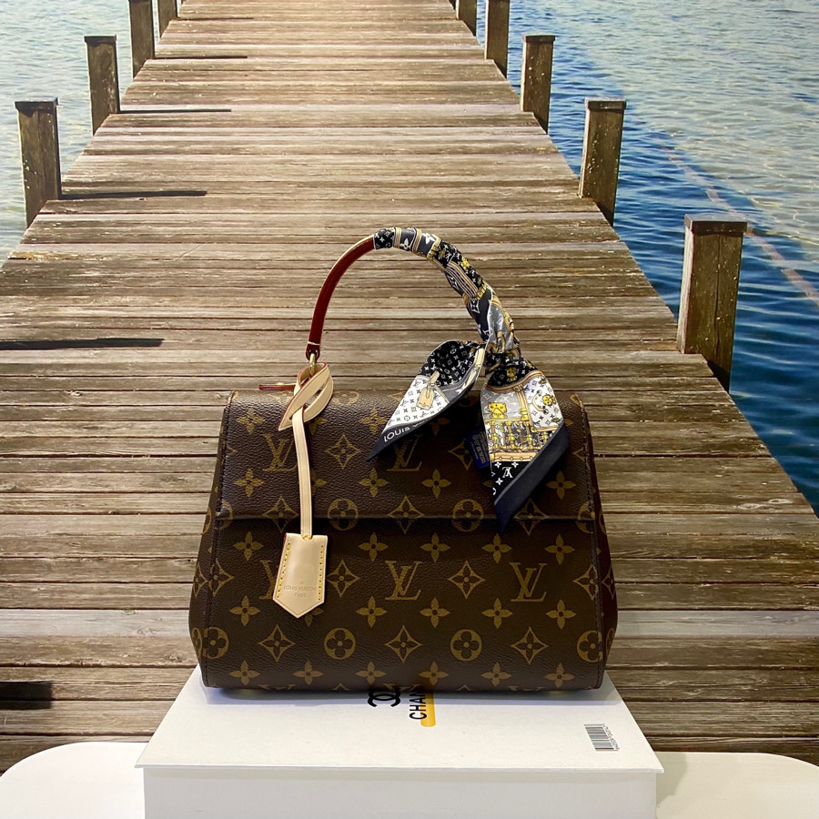 Túi Louis Vuitton