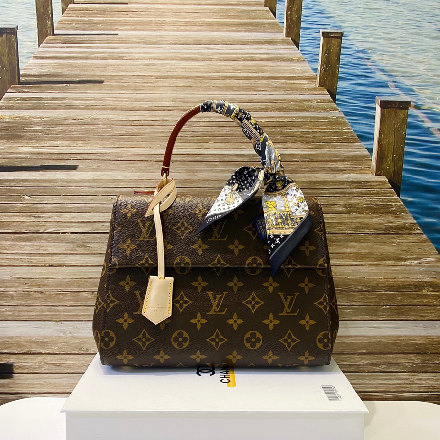 Túi Louis Vuitton