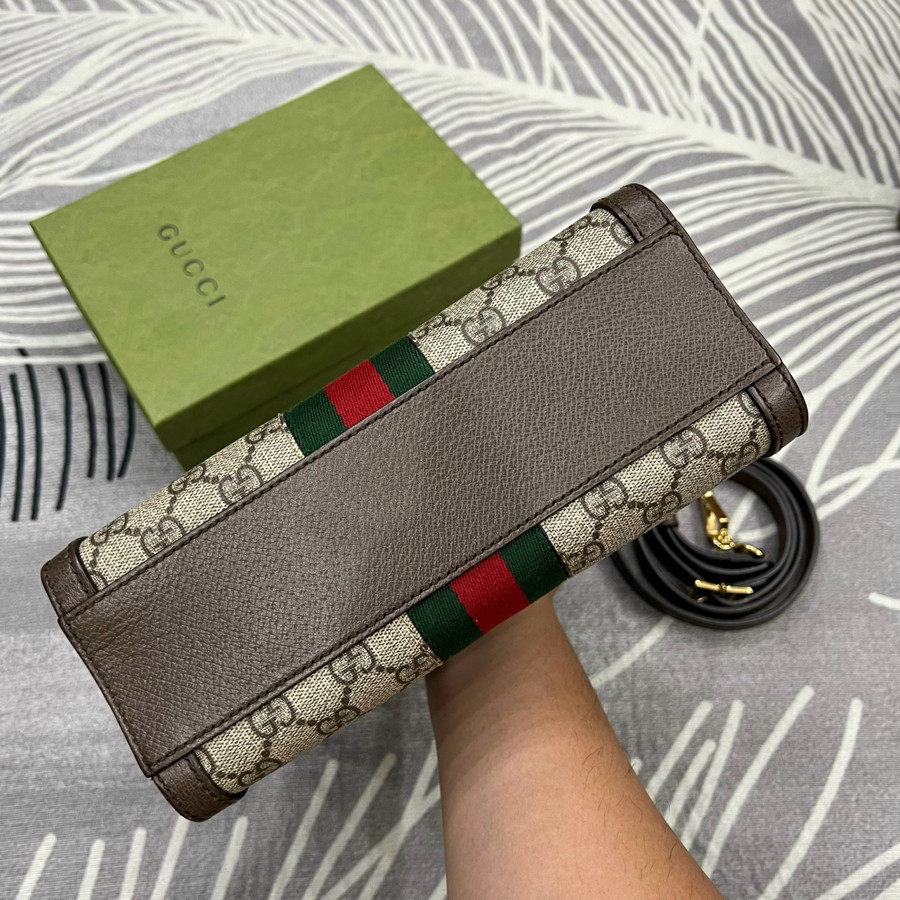 Bag gucci - túi gucci ophidia