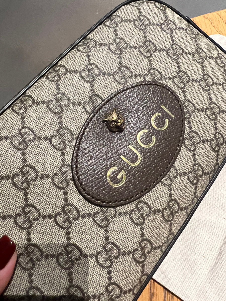 Gucci  camera bag