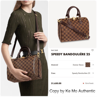 Louis Vuitton Speedy Bandoulière 25 in graphic Damier Ebene canvas: