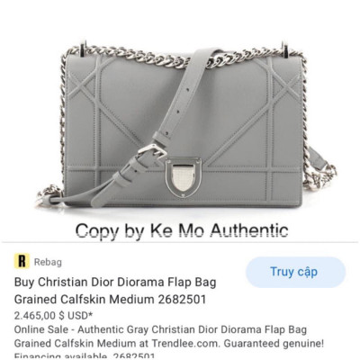 Dior - Diorama Flap Bag Grained Calfskin Medium - gray + SHW :