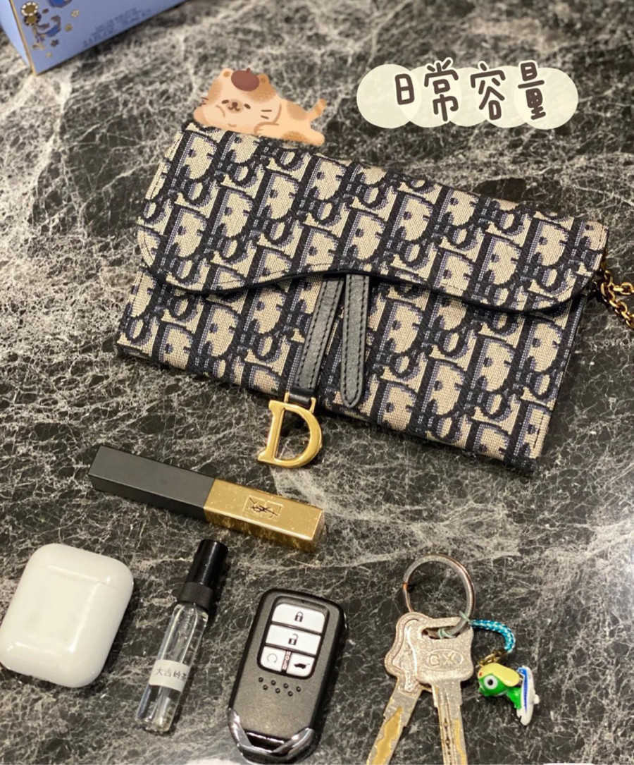 Set Dior saddle mini woc mua 1 được 2.🥰