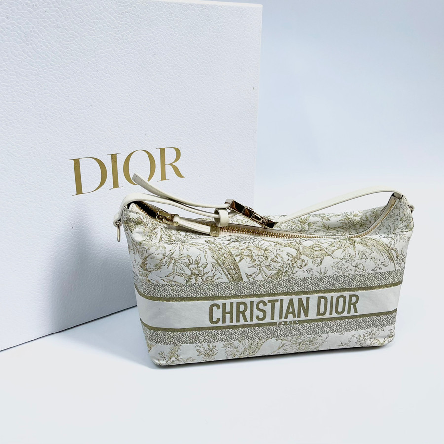 Pouch Dior