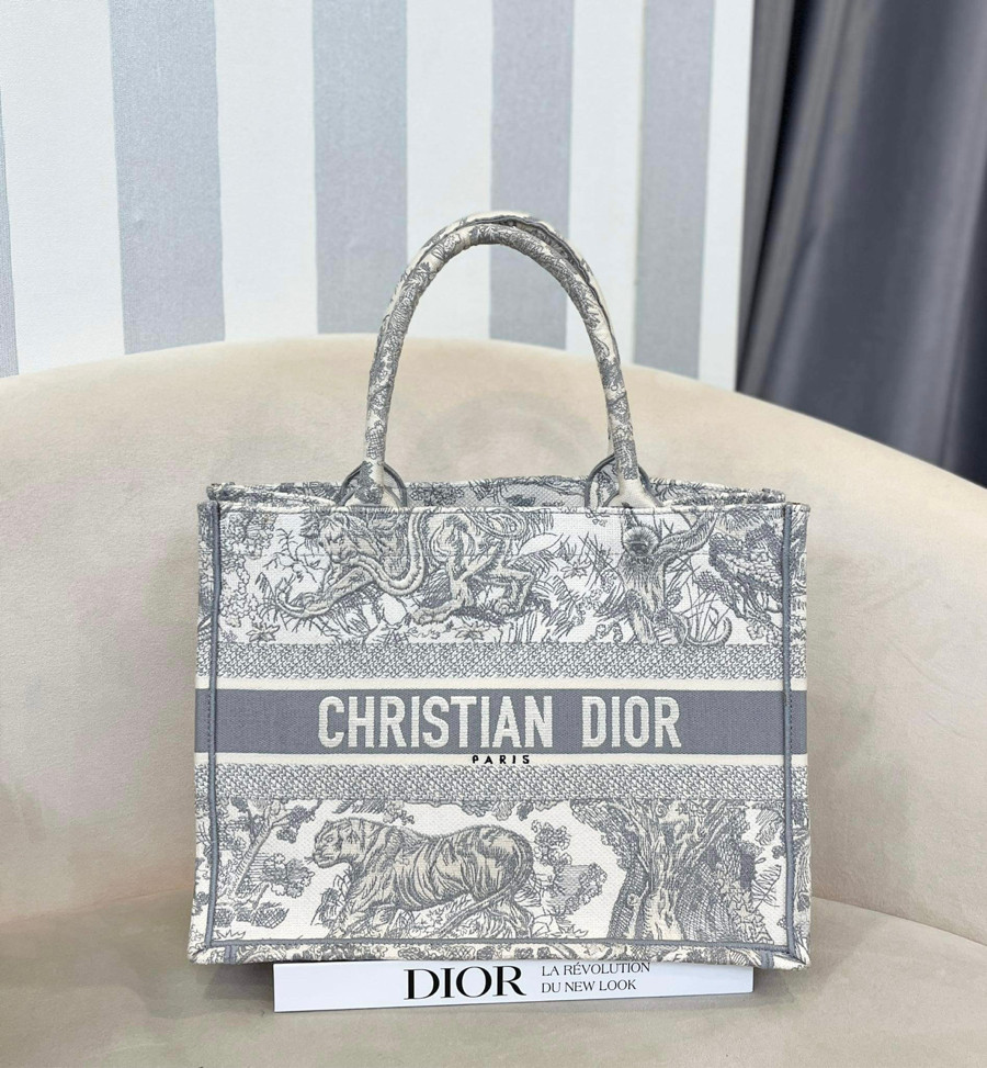 Dior Book Tote Medium