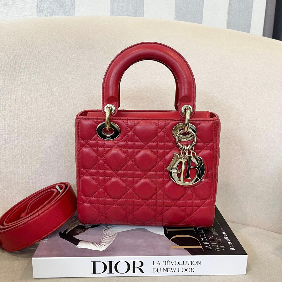 DiorLady small