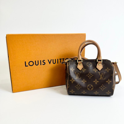 Speedy Louis Vuitton nano