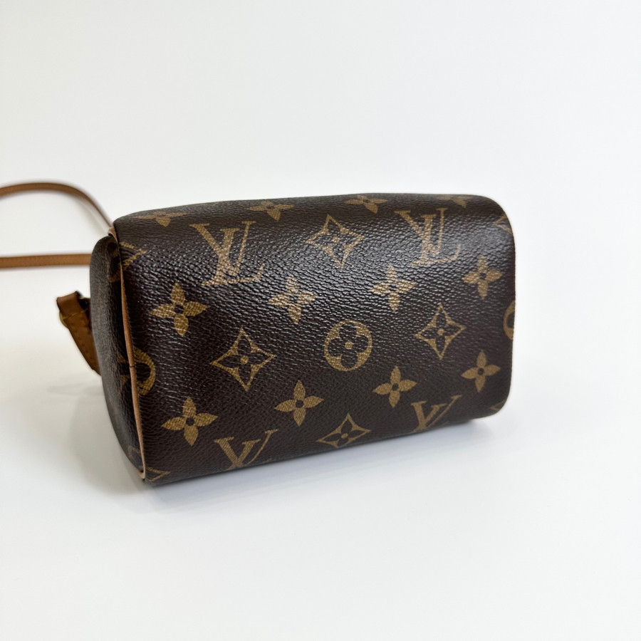 Speedy Louis Vuitton nano