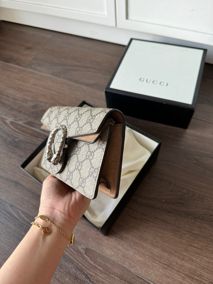 Gucci dyonisus mini canvas