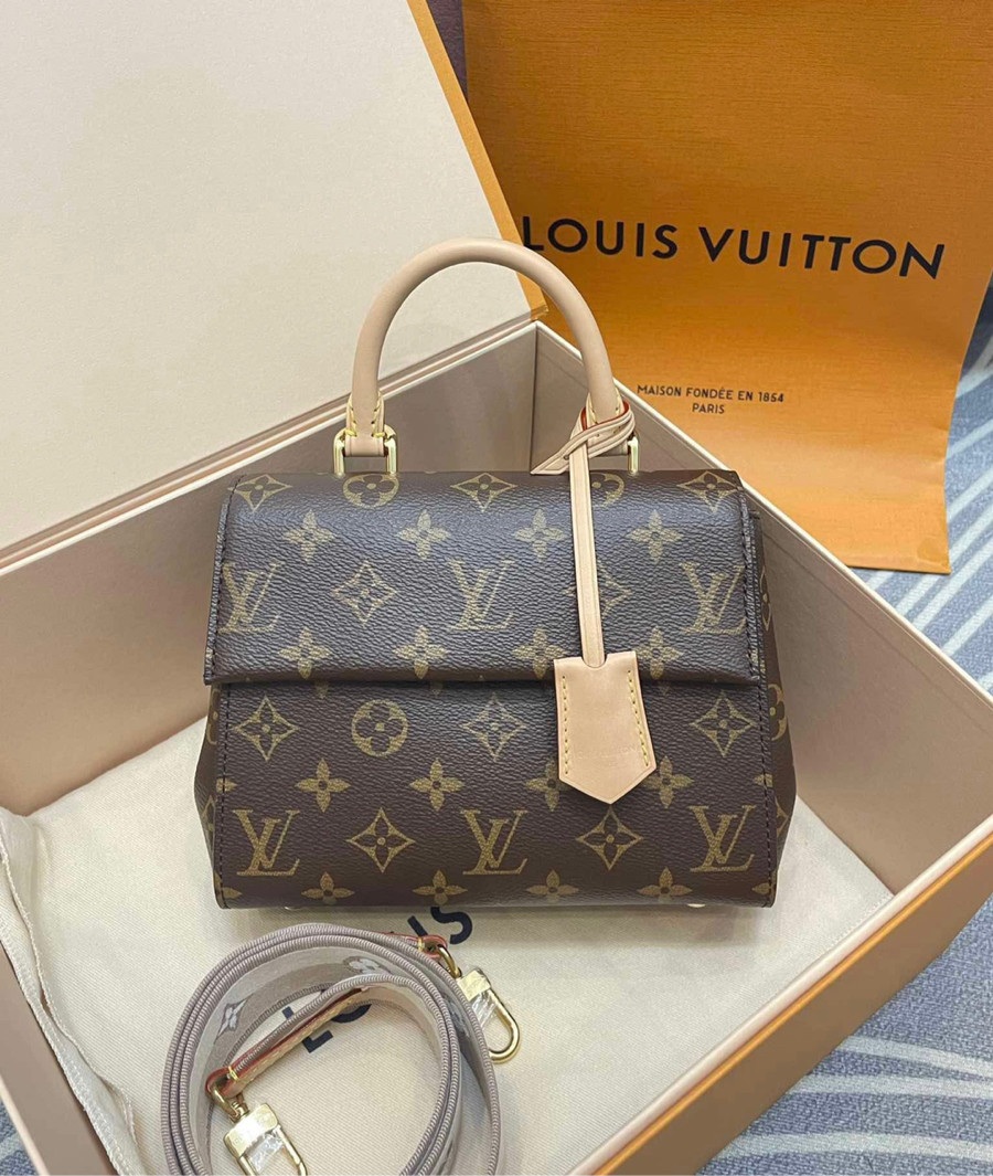 Túi Louis Vuitton