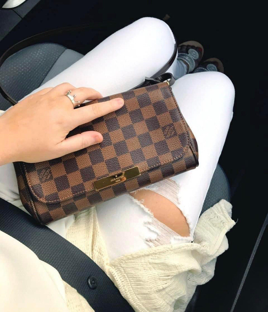 LV Favorite damier