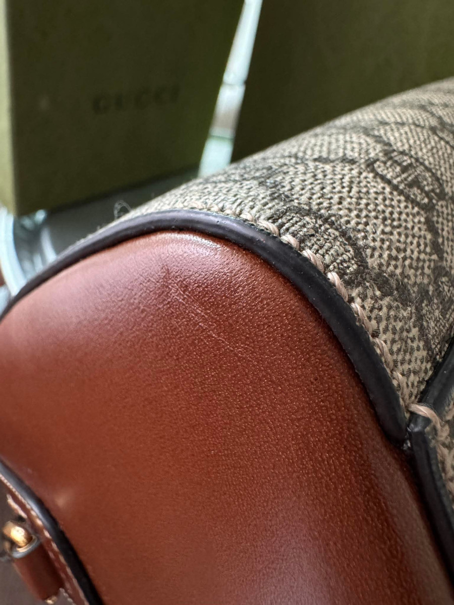 Gucci speedy 25