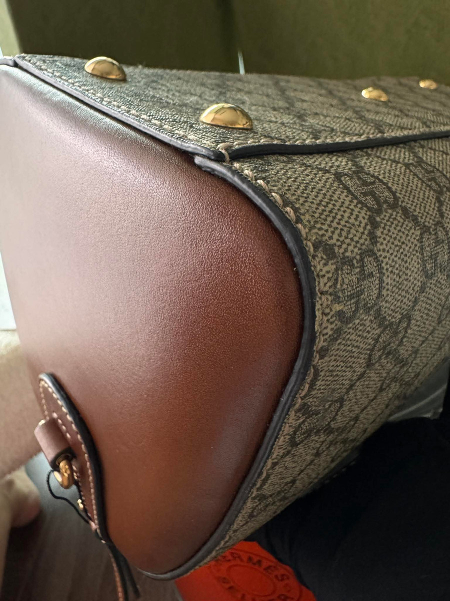 Gucci speedy 25