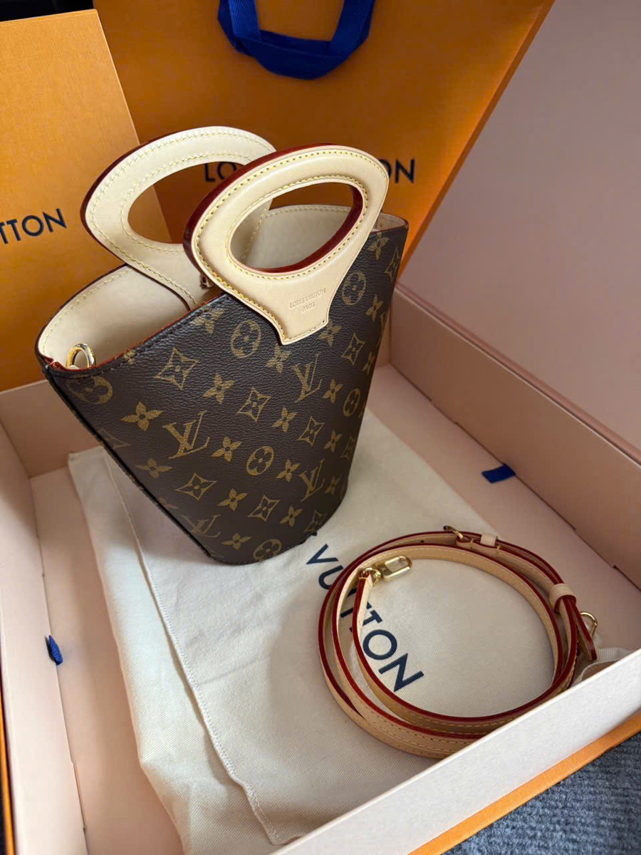 Túi Louis Vuitton
