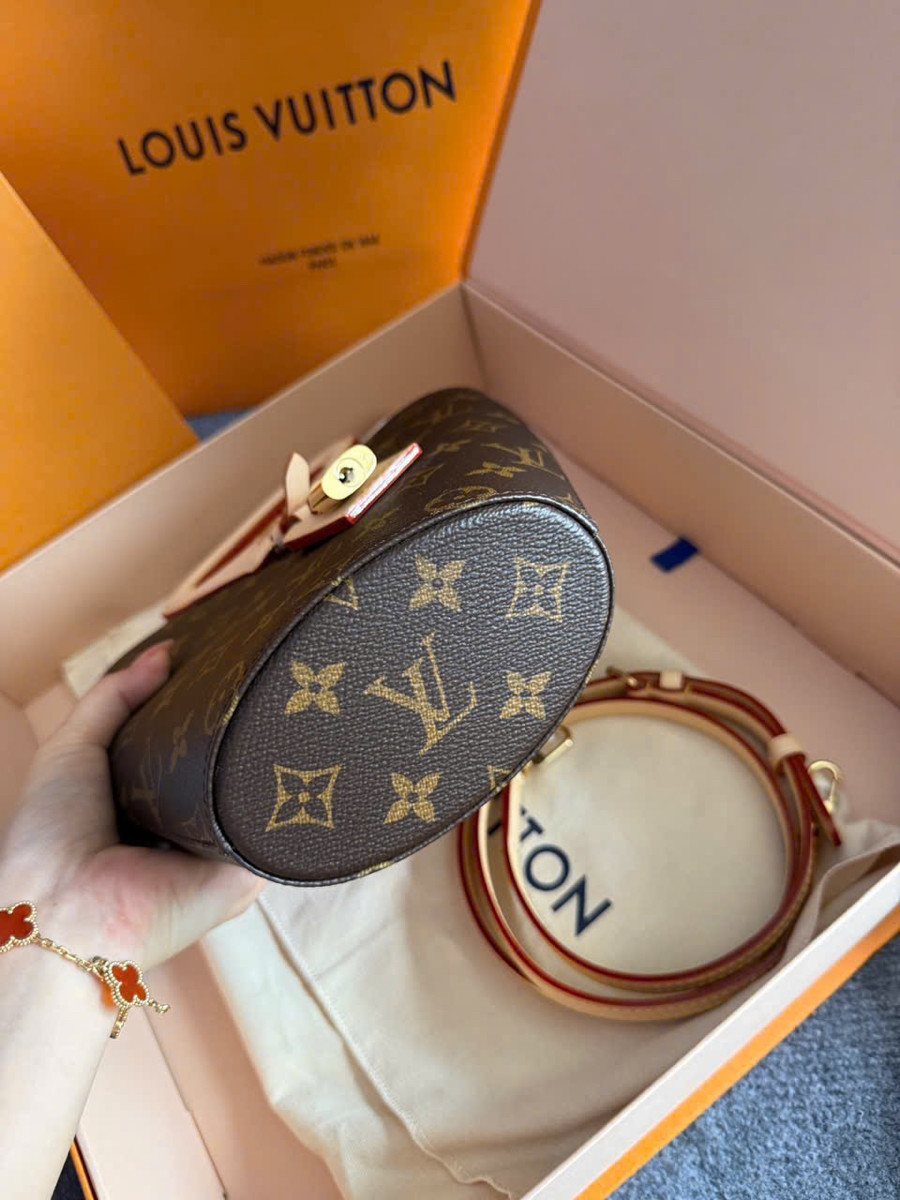Túi Louis Vuitton