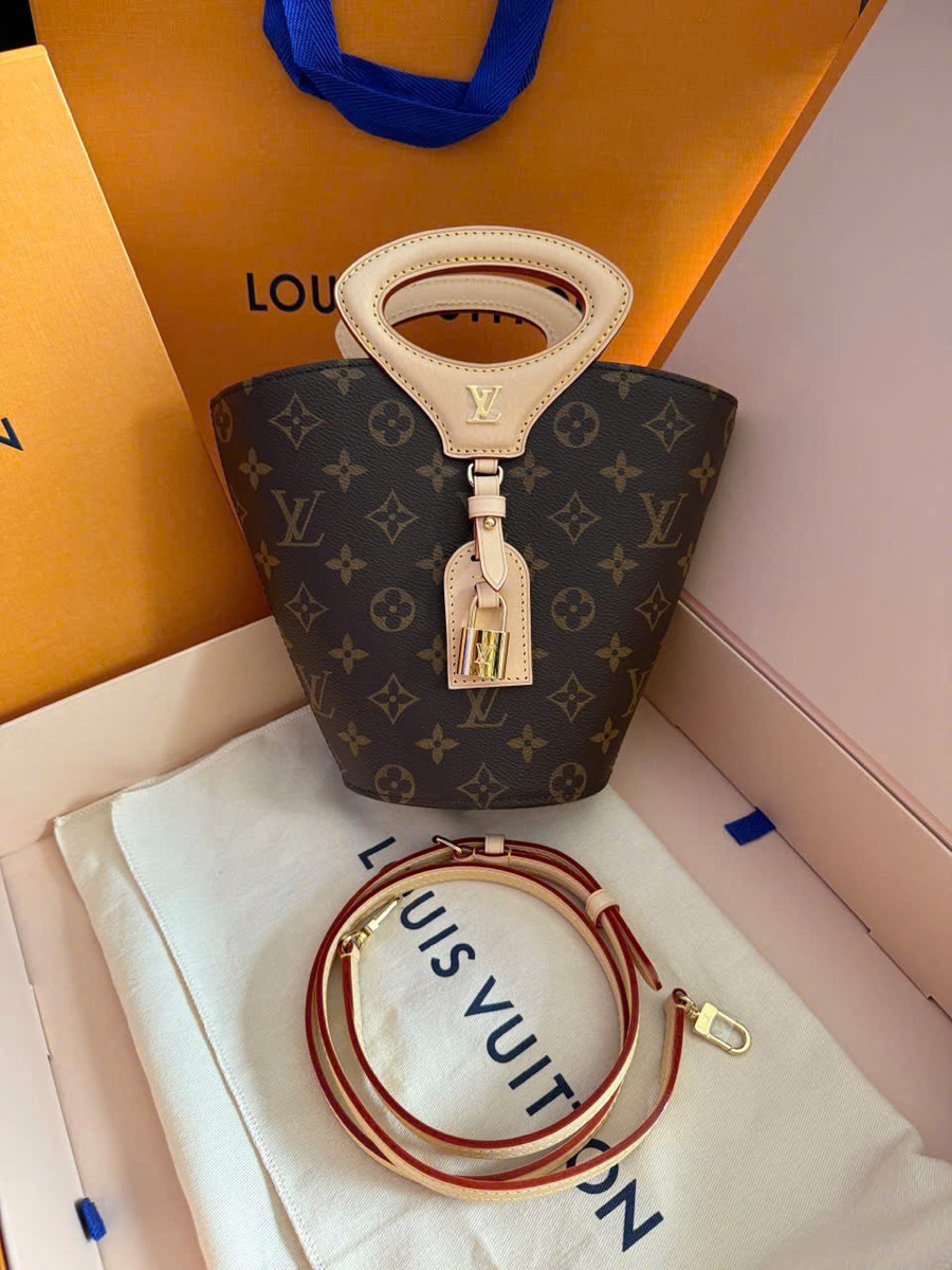 Túi Louis Vuitton