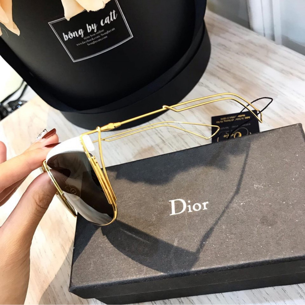 Kính Dior SoElectric