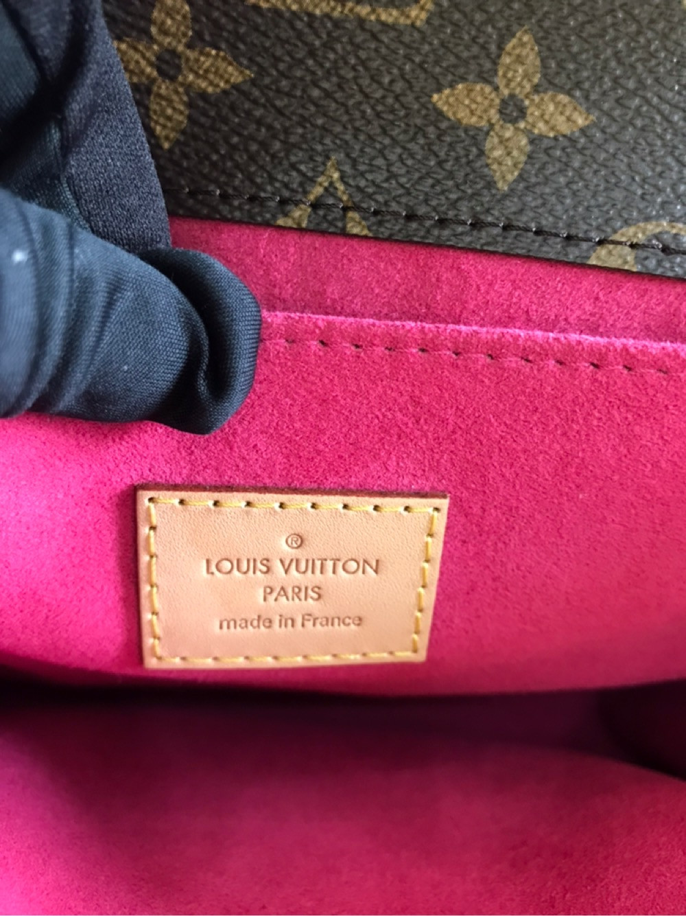 Túi Louis Vuitton