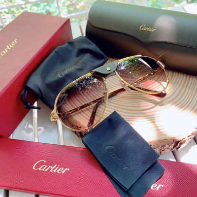 Cartier santos