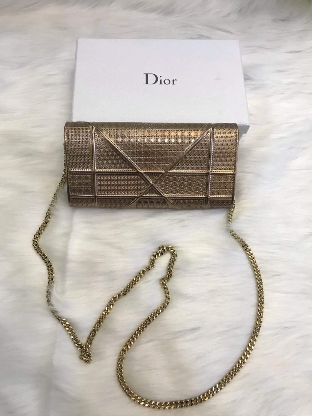 Dior Pouch metalic